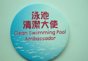 馬口鐵徽章 定制價格、廠家選擇與廣告應用全攻略